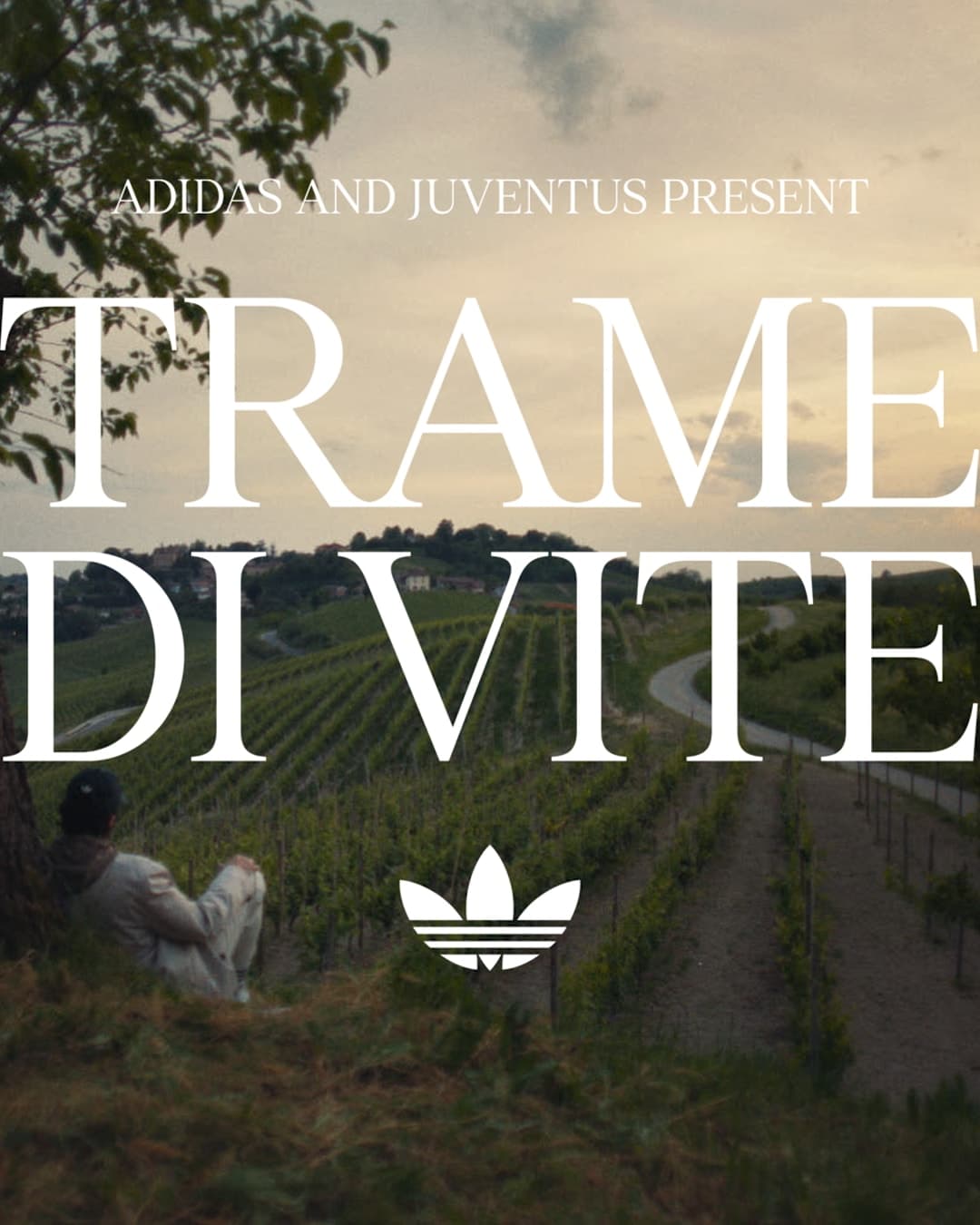 Trame di Vite